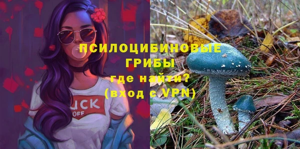 винт Алексин
