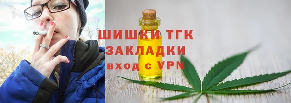 винт Алексин