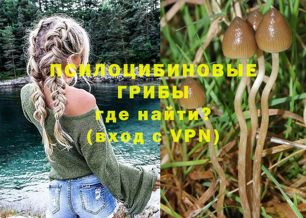 дмт Абинск