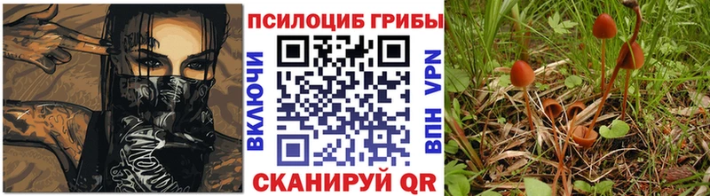 где продают   Ржев  Псилоцибиновые грибы GOLDEN TEACHER 