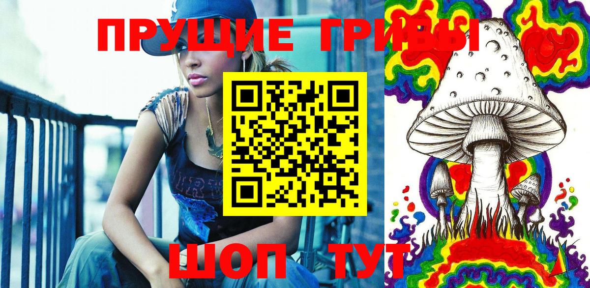 хочу наркоту  Вход с VPN  Ржев  Псилоцибиновые грибы Magic Shrooms 